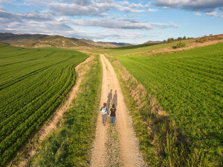 Couple walks hand in hand through fields