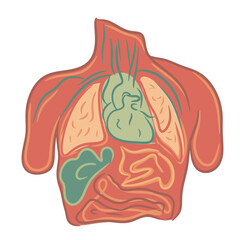 medical