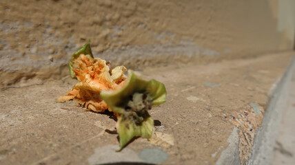 Half eaten green apple 