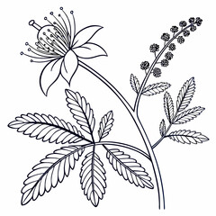 abstract floral background with flowers