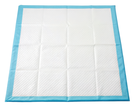 Large pet training pad for indoor cleanliness on a transparent background