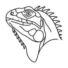 Detailed line art illustration of an iguana head profile reptilian wildlife outline drawing