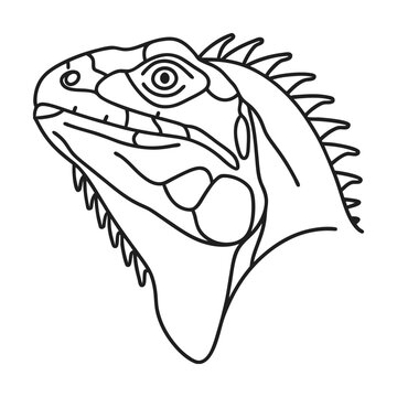 black outline iguana head profile clip art preview