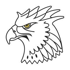 Graphic eagle head vector illustration outline design isolated on white background symbol of freedom