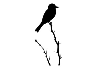 Set of black bird silhouettes perched on tree branches