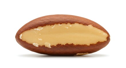 Castanha do Brasil isolada em fundo branco