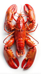 Whole Cooked Lobster on a White Background with a TopDown Perspective