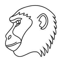 Monkey head profile outline vector illustration,primate face,animal design,line art,graphic resource