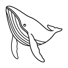 Humpback whale illustration simple outline graphic marine mammal conservation design element aquatic animal