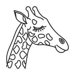 Simple outline drawing of giraffe head with eyelashes for decoration or education use