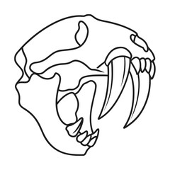 Line art drawing of saber toothed tiger skull fossil isolated on white background