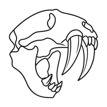 saber tooth skull outline clip art preview