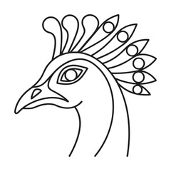 Elegant peacock head outline design black and white vector illustration simple bird icon design