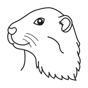 recommend clip art: Groundhog head vector illustration simple line art design cute marmot animal artwork element