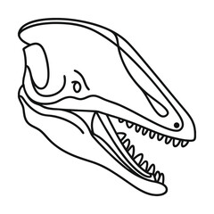 Line art mosasaur skull illustration vector minimalist design outlined paleontological drawing cretaceous predator