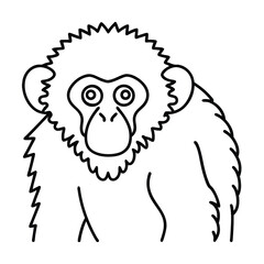 Outline illustration of a chimpanzee graphic animal representation isolated on white background for creative projects