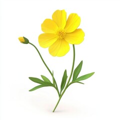 Bright yellow flower with two buds and leaves.