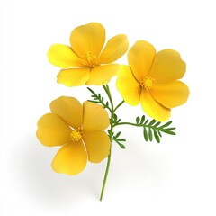 Three vibrant yellow flowers on a stem.