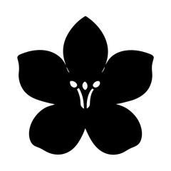 amaryllis flower minimalist silhouette vector - for nature graphic design projects amaryllis, plant flower modern artwork.