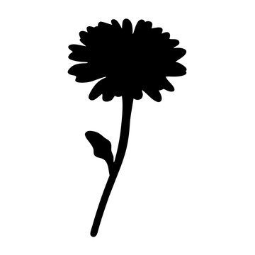 recommend clip art: aster flower minimalist silhouette vector - for nature graphic design projects aster, plant flower modern artwork.