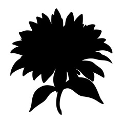 bee balm flower minimalist silhouette vector - for nature graphic design projects bee balm, plant flower modern artwork.