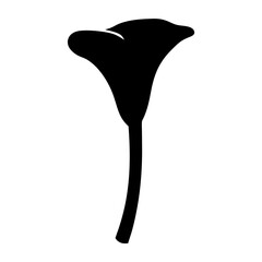 calla lily flower minimalist silhouette vector - for nature graphic design projects calla lily, plant flower modern artwork.