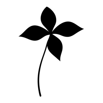 recommend clip art: clematis flower minimalist silhouette vector - for nature graphic design projects clematis, plant flower modern artwork.