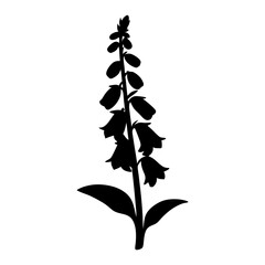 foxglove flower minimalist silhouette vector - for nature graphic design projects foxglove, plant flower modern artwork. © pixostudio