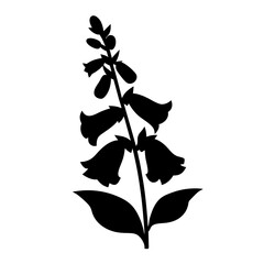 foxglove flower minimalist silhouette vector - for nature graphic design projects foxglove, plant flower modern artwork.