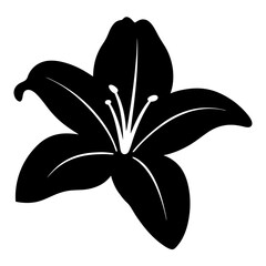 lily flower minimalist silhouette vector - for nature graphic design projects lily, plant flower modern artwork.