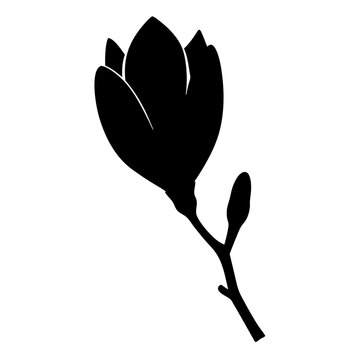 recommend clip art: magnolia flower minimalist silhouette vector - for nature graphic design projects magnolia, plant flower modern artwork.