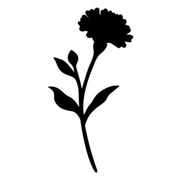 recommend clip art: marigold flower minimalist silhouette vector - for nature graphic design projects marigold, plant flower modern artwork.