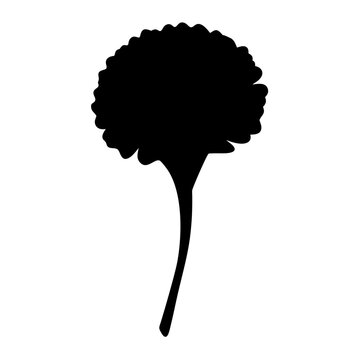 recommend clip art: marigold flower minimalist silhouette vector - for nature graphic design projects marigold, plant flower modern artwork.