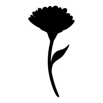 recommend clip art: marigold flower minimalist silhouette vector - for nature graphic design projects marigold, plant flower modern artwork.