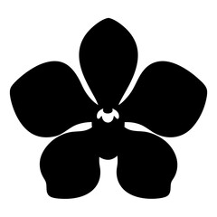 orchid flower minimalist silhouette vector - for nature graphic design projects orchid, plant flower modern artwork.