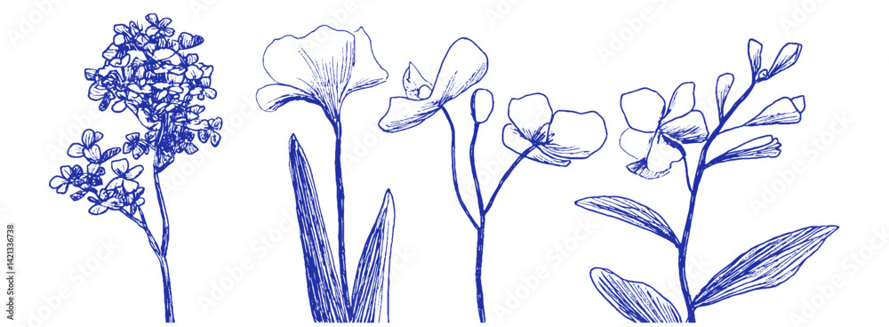 Poster floral doodles on a mediterranean backdrop showcasing whimsical linear elements and odd crayon strok