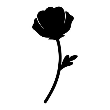 recommend clip art: ranunculus flower minimalist silhouette vector - for nature graphic design projects ranunculus, plant flower modern artwork.