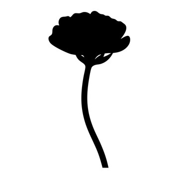 recommend clip art: ranunculus flower minimalist silhouette vector - for nature graphic design projects ranunculus, plant flower modern artwork.