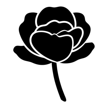 recommend clip art: ranunculus flower minimalist silhouette vector - for nature graphic design projects ranunculus, plant flower modern artwork.