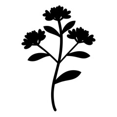 sedum flower minimalist silhouette vector - for nature graphic design projects sedum, plant flower modern artwork.