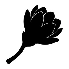 torch ginger flower minimalist silhouette vector - for nature graphic design projects torch ginger, plant flower modern artwork.