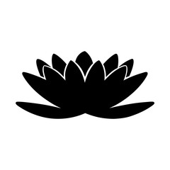 water lily flower minimalist silhouette vector - for nature graphic design projects water lily, plant flower modern artwork.