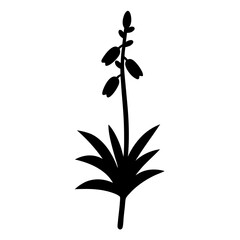 yucca flower minimalist silhouette vector - for nature graphic design projects yucca, plant flower modern artwork.