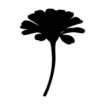 recommend clip art: zinnia flower minimalist silhouette vector - for nature graphic design projects zinnia, plant flower modern artwork.