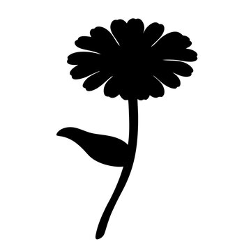 recommend clip art: zinnia flower minimalist silhouette vector - for nature graphic design projects zinnia, plant flower modern artwork.