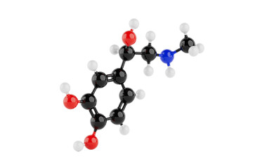 Structural Model of Epinefrine Molecule Chemical Formula. 3d Rendering