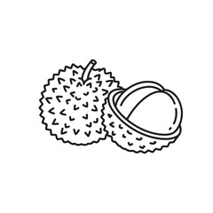 Lychee Fruit line art flat vector illustration.