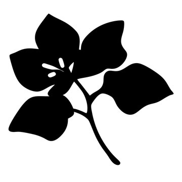 recommend clip art: bougainvillea flower minimalist silhouette vector - for nature graphic design projects bougainvillea, plant flower modern artwork.