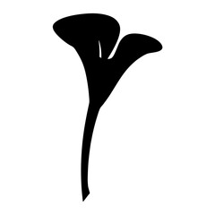 calla lily flower minimalist silhouette vector - for nature graphic design projects calla lily, plant flower modern artwork.