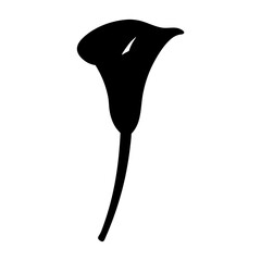 calla lily flower minimalist silhouette vector - for nature graphic design projects calla lily, plant flower modern artwork.